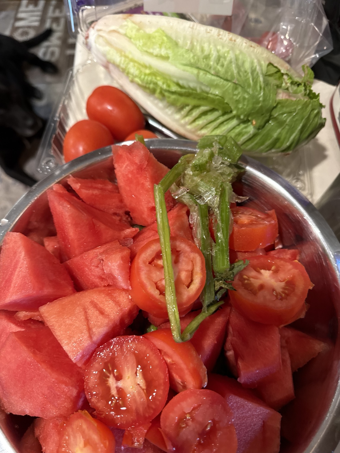 Watermelon, tomatoes, greens, and red pepper prepared as a poultry treat